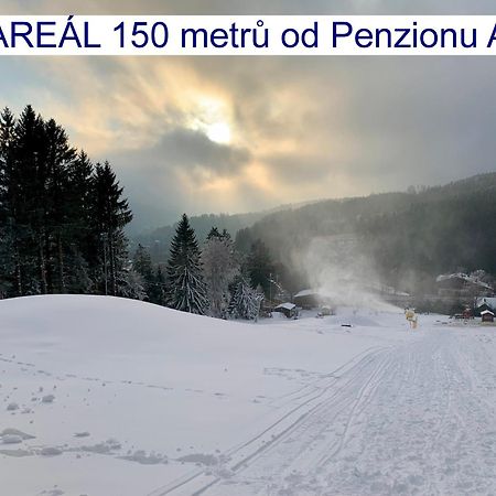 Penzion Alfa Železná Ruda Kültér fotó