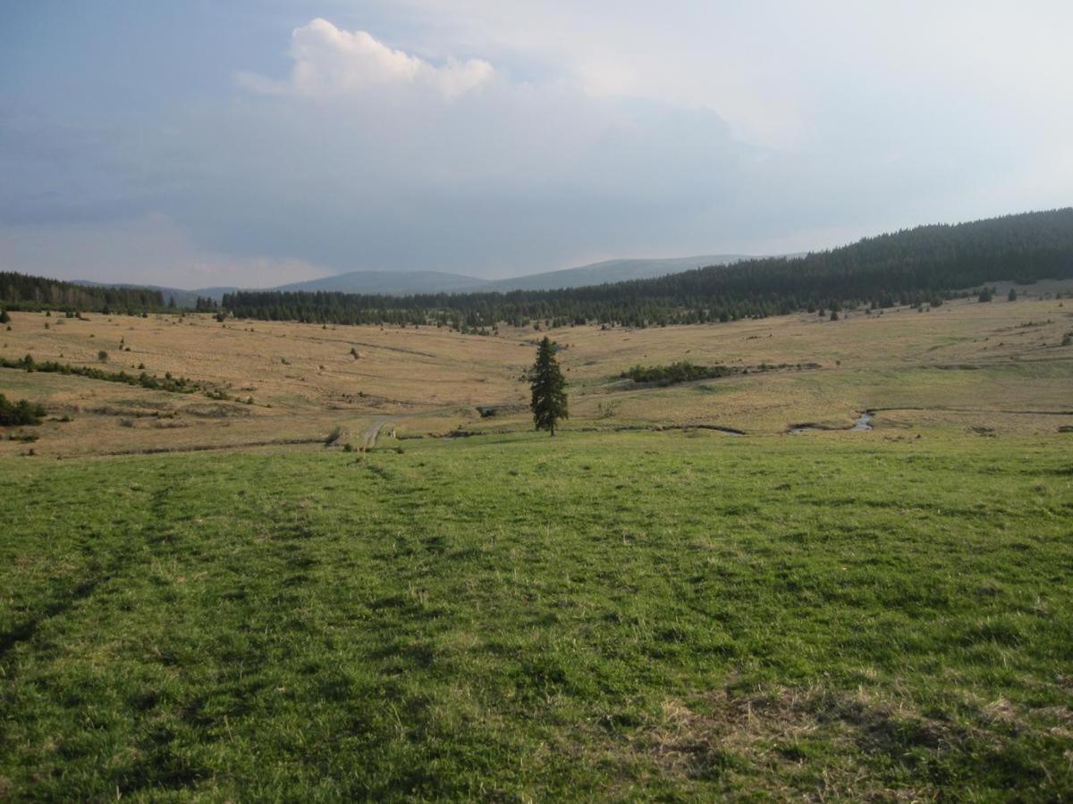 Penzion Alfa Železná Ruda Kültér fotó