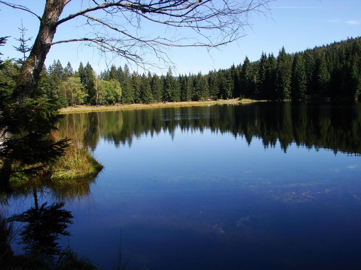 Penzion Alfa Železná Ruda Kültér fotó