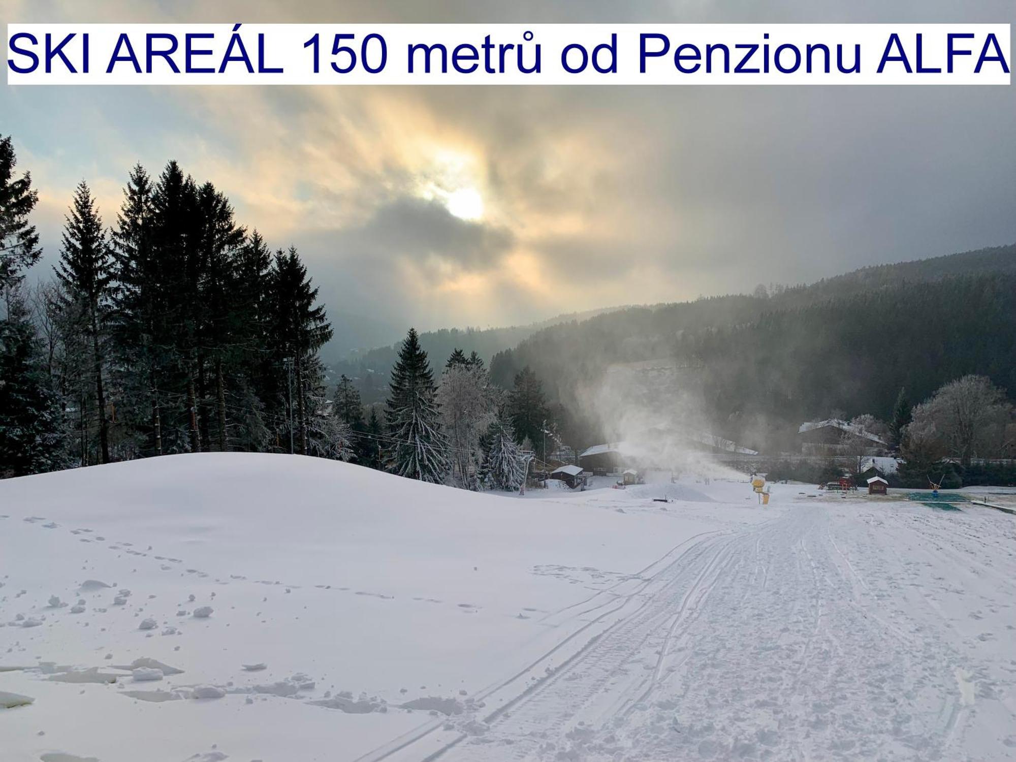 Penzion Alfa Železná Ruda Kültér fotó